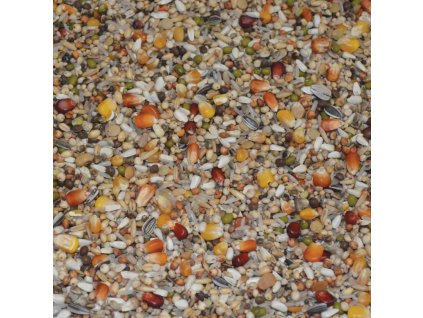 184 - Prémiová směs Dynamik