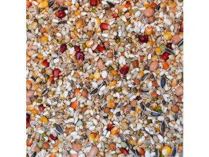 816 - Clicque Golden Racing