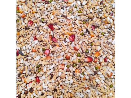 57 - Sport Light / PRO REVOLUTION