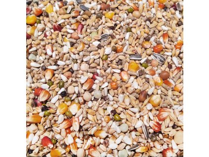 49 - Holoubata / PRO REVOLUTION