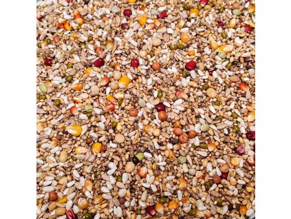 61 - Maraton / PRO REVOLUTION