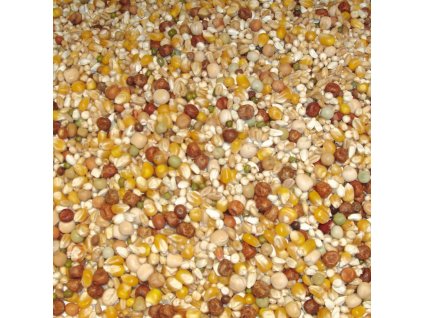 715 - Silná vdovská - Casaert