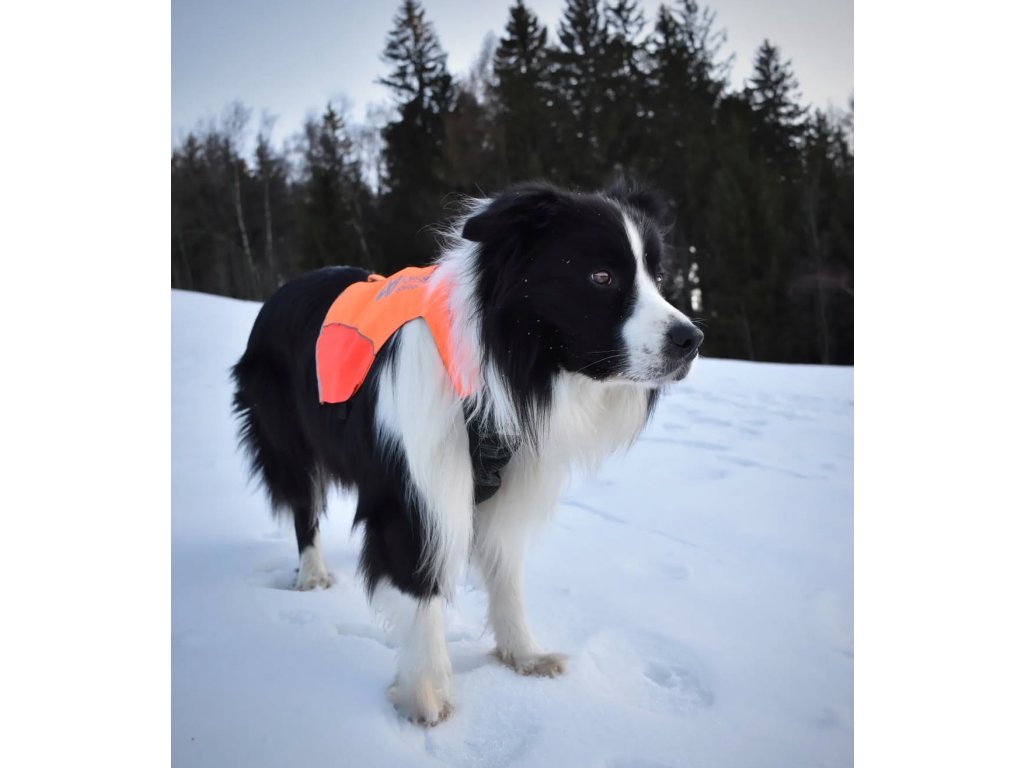 Reflexní vesta protector vest 2.0 Non-stop dogwear