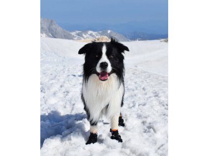 Botičky Protector Booties 4ks Non-stop dogwear