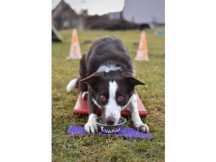 TouchBowl for seesaw