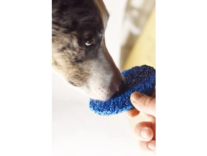 Kulatý target 11 cm