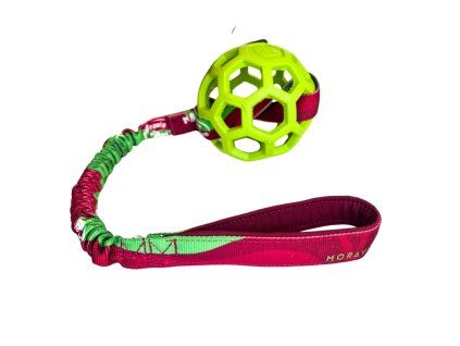 Green JW with Bungee MO