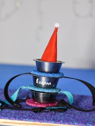 🎄✨🎁 . . #bordercollie #agility #agilitydog #agilitytraining