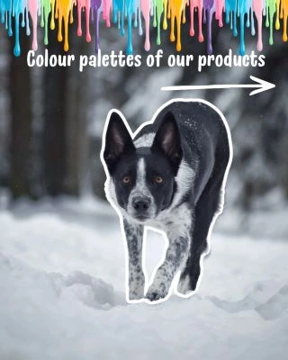 Did you know you can customize your gear? While we have 9 beautiful tartan shades in stock, the possibilities are endless...