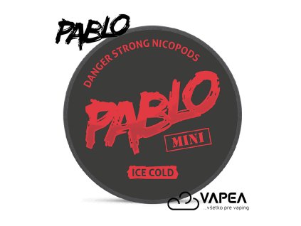 Pablo ICE Cold Mini 15 30ks