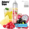 Adam´s Vape Shake and Vape Něco CHLADIVÝHO 12ml  aróma pre výrobu e-liquidu Longfill