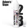 Adam´s Vape Shake and Vape 23 12ml  aróma pre výrobu e-liquidu Longfill