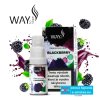 WAY to Vape e-liquid BLACKBERRY 10ml-3mg