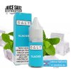 Juice Sauz e-liquid SALT Glacier 10ml - 10mg
