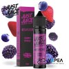 just juice flavor sv vapea 10ml berry burst