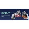 OXVA VPRIME cartridge 0,2ohm 2ml 2Pack  náhradná cartridge