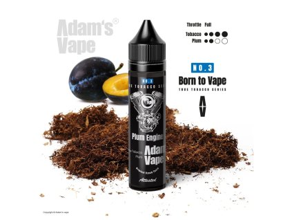 193 adams vape plum engine.jpg