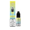 DL Bar Salts FRUITS Banana Ice 10ml 20mg SK