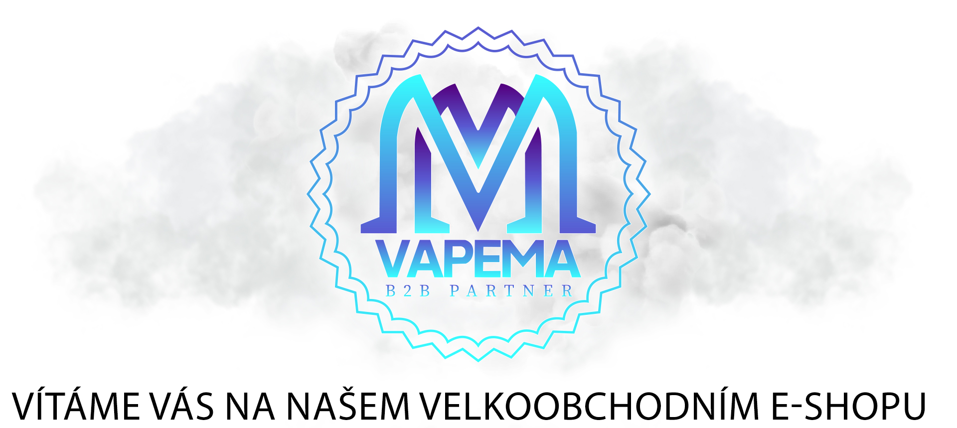 Vapema s. r. o.