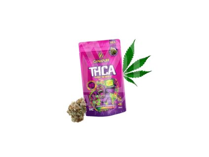 4320 panicmonkey thca removebg preview.png