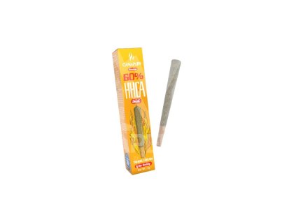 2633 2 tangie dream hhca camera 22 720 removebg preview.png