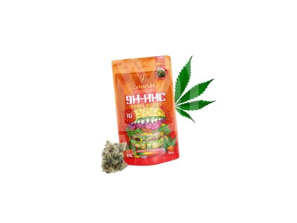 2524 1 dny brgr 9hc removebg preview.png