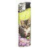 8081 1 box 50 ks wildfire piezo lovely cats