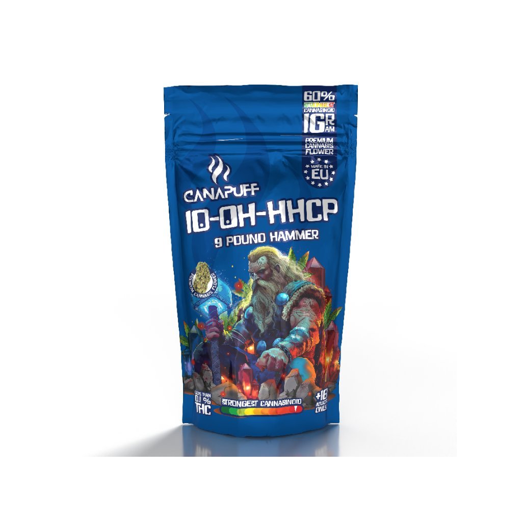 2569 9 pound hammer.png