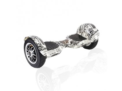 minisegway-hoverboard-longboard-q-10-anglie-2