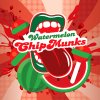 Příchuť Big Mouth Classical - Watermelon Chipmunks (Lízátko s příchutí vodního melounu)