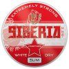NIKOTINOVE SACKY SIBERIA (VAPING) (4)