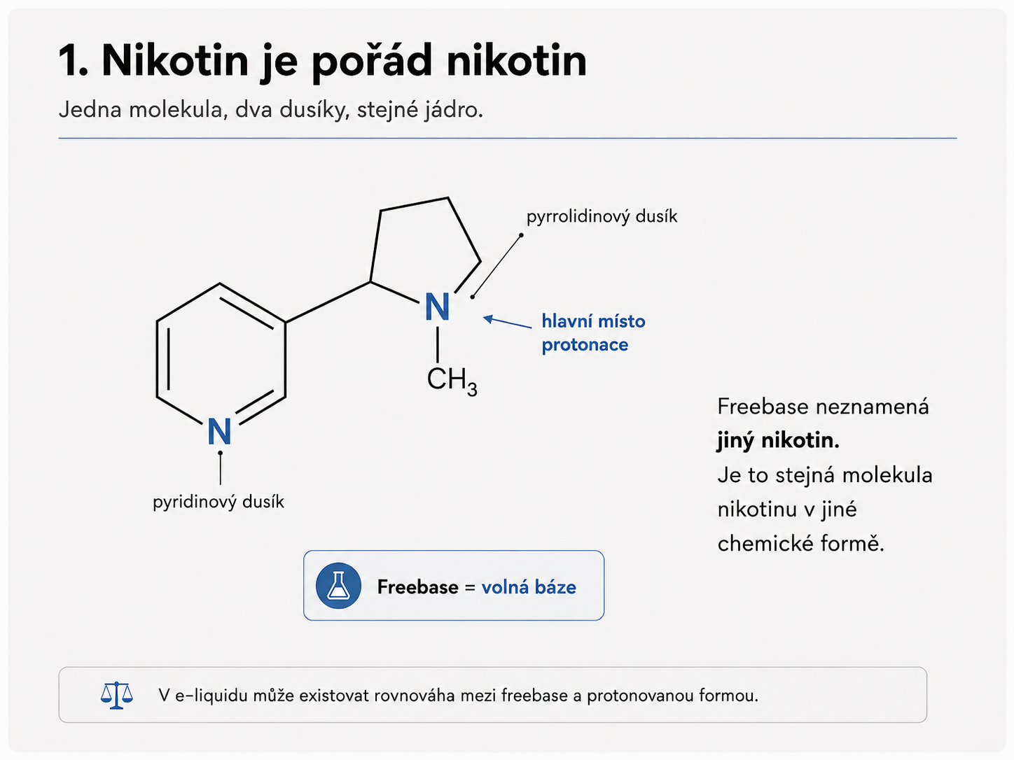 Molekula nikotinu s vyznačeným pyridinovým a pyrrolidinovým dusíkem