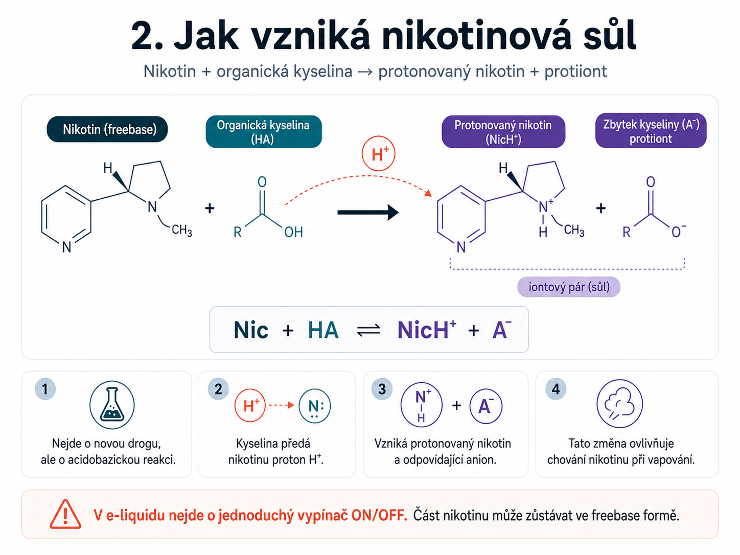 Chemické schéma vzniku nikotinové soli přenosem protonu z organické kyseliny na nikotin
