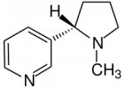 Nikotinové báze