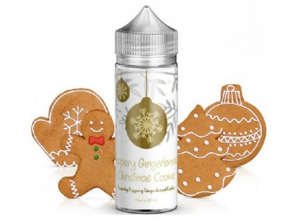 Příchuť AEON Journey Xmas Edition Peppery Gingerbread SnV 24ml