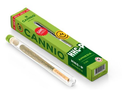 amnesia pre roll