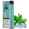 Salt SWITCH Disposable Pod Kit (Cool Mint)