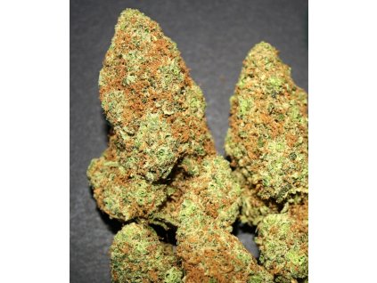 Samokvitnúce semená GORILLA CANDY AUTO od SEEDSMAN SEEDS - sladký hybrid s intenzívnou arómou. Nájdete na Vaporama.sk.