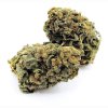 Feminizované konopné semená CHEESE CBD 1:1 od RAMA SEEDS – CBD/THC 1:1 pomer