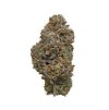 Platinum OG Fast semienka od RAMA SEEDS – rýchlokvitnúca indica s THC 20 % a silnými účinkami