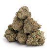 Rýchlokvitnúce semená JACK HERER FAST od RAMA SEEDS – vysoké THC, energizujúci efekt a rýchle kvitnutie