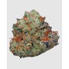 COOKIES x GORILLA FEM. – silný a sladký hybrid od RAMA SEEDS s bohatou arómou a živicou. Na Vaporama.sk
