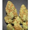 Samokvitnúce semená GORILLA CANDY AUTO od SEEDSMAN SEEDS - sladký hybrid s intenzívnou arómou. Nájdete na Vaporama.sk.