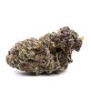Purple Urkle Fast Fem – rýchlokvitnúca indika od RAMA SEEDS s ovocnou vôňou a vysokým THC