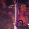 chicha el badia balian (4)