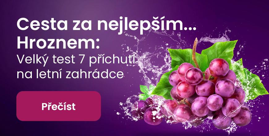 Cesta za nejlepším hroznem