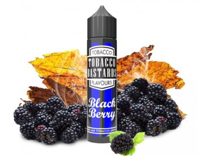 prichut flavormonks tobacco bastards fruit blackberry tobacco 12ml snv