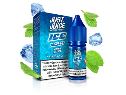 cz nicsalt 10ml 20mg ice pure mint box fruits