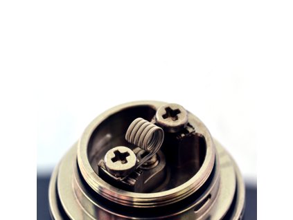 judy coils