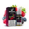 Dreamix SALT Berry Mixs